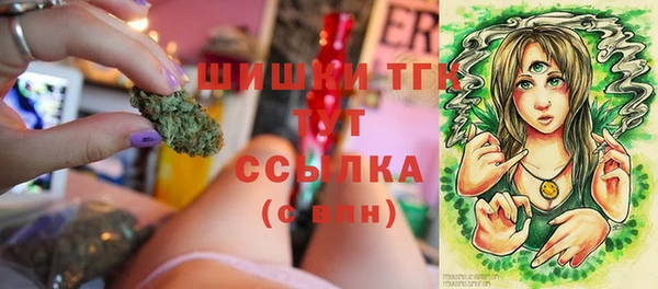 PSILOCYBIN Новодвинск