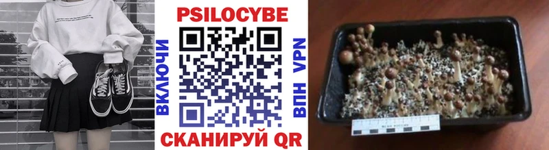 darknet какой сайт  Мурино  Псилоцибиновые грибы Magic Shrooms  где можно купить наркотик  ссылка на мегу  